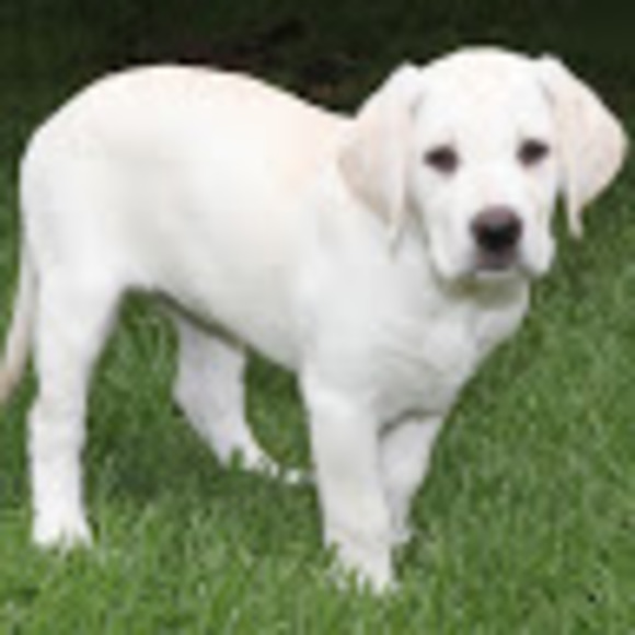 Meet your Posher, Kim - Picture 1 of 1